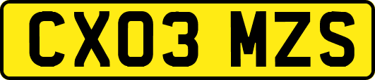 CX03MZS