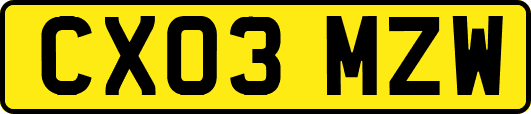 CX03MZW