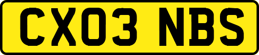 CX03NBS