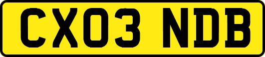 CX03NDB