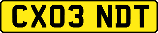 CX03NDT