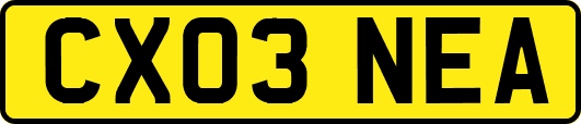 CX03NEA