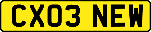 CX03NEW