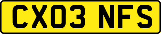 CX03NFS