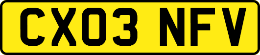 CX03NFV