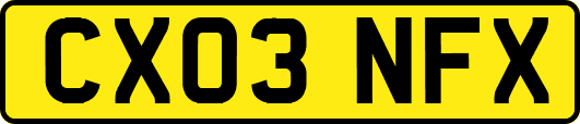 CX03NFX