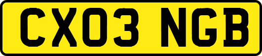 CX03NGB