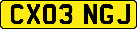 CX03NGJ
