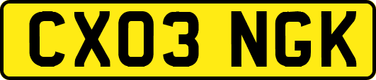 CX03NGK