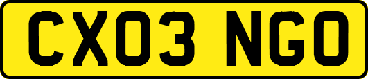 CX03NGO