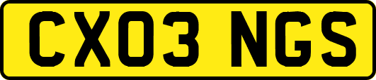 CX03NGS