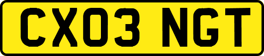 CX03NGT