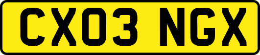 CX03NGX
