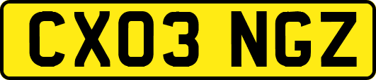 CX03NGZ