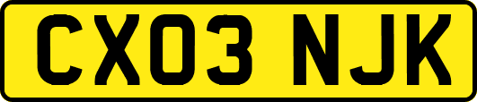 CX03NJK