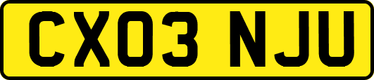 CX03NJU