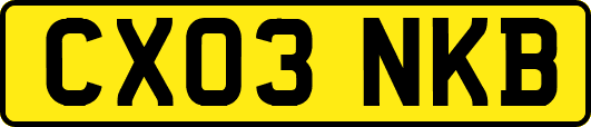 CX03NKB