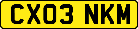 CX03NKM