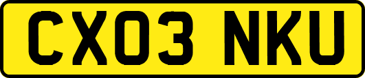 CX03NKU