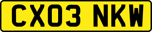 CX03NKW