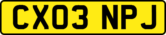 CX03NPJ