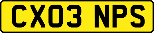 CX03NPS