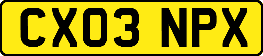 CX03NPX
