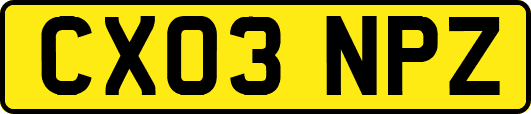 CX03NPZ