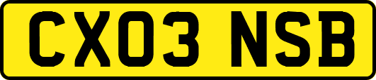 CX03NSB