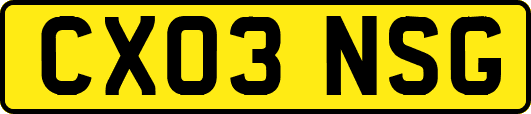 CX03NSG