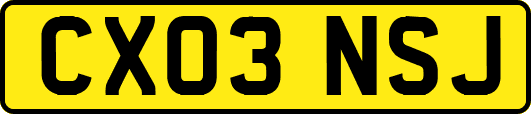 CX03NSJ