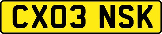 CX03NSK