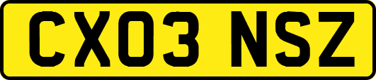 CX03NSZ