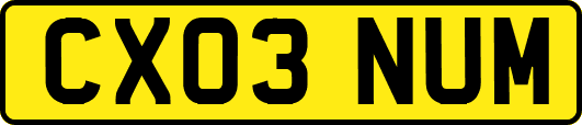 CX03NUM