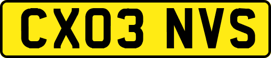 CX03NVS
