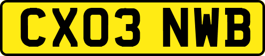 CX03NWB