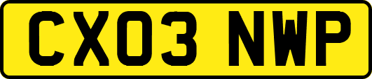 CX03NWP