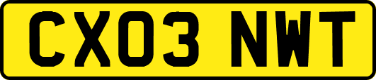 CX03NWT