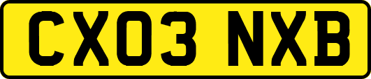 CX03NXB
