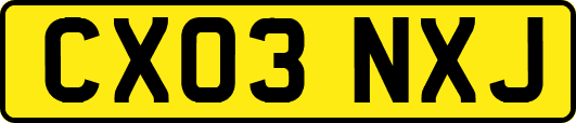 CX03NXJ