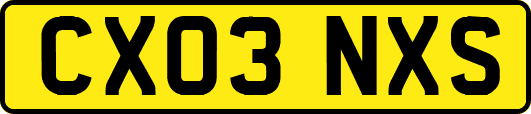CX03NXS