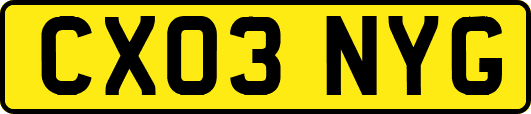 CX03NYG