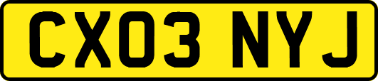 CX03NYJ