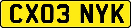 CX03NYK
