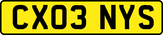 CX03NYS