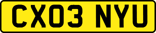 CX03NYU