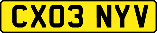CX03NYV