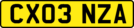CX03NZA