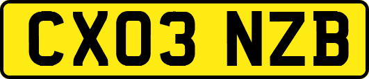 CX03NZB