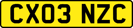 CX03NZC